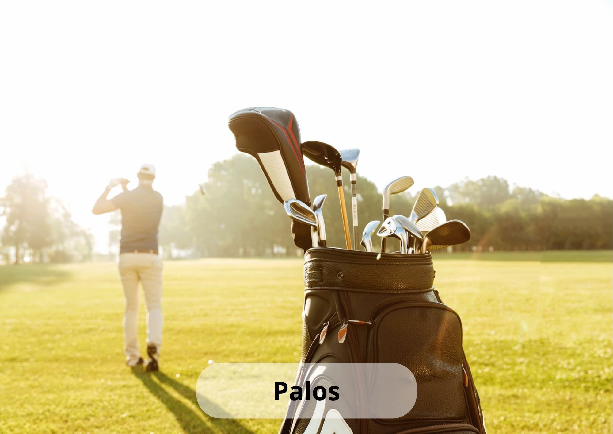 palos de golf